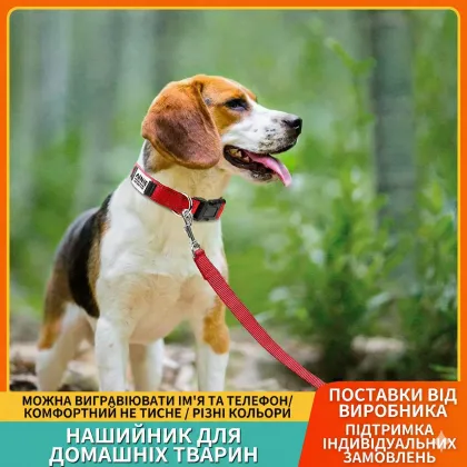 Ошейники для собак и кошек