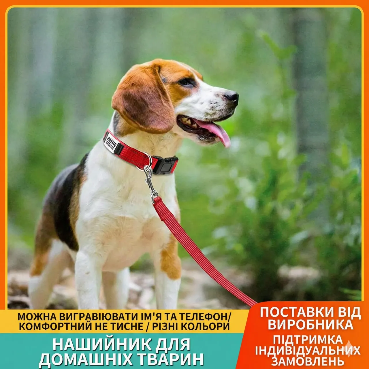 Нашийник на собаці