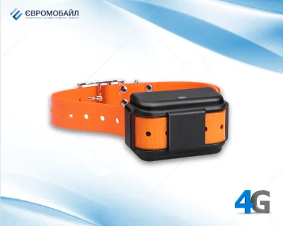 4G LTE GPS трекер для собак EuroVizion pTL40L