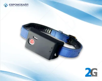 GPS трекер для собак и котов EuroVizion pTM15G